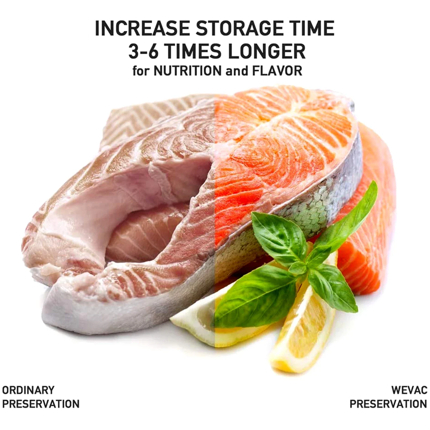 Tas Penyegel Vakum 100 Liter u - Meal Prep Or Prep Meal ulasan dan harga